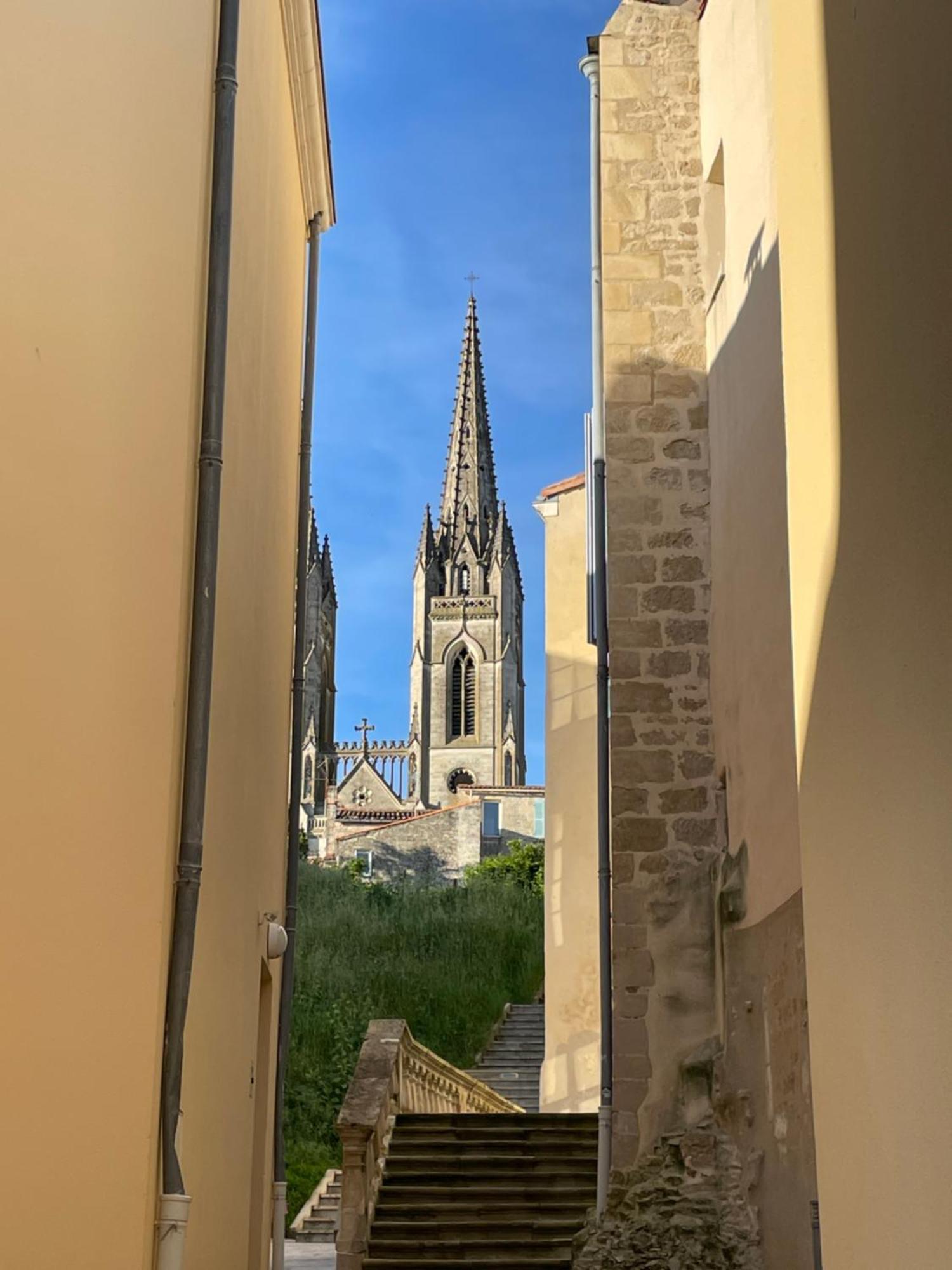 Chez Jean-Yves Et Zoe - Le Saint Andre - Au Calme, Tres Propre, Proche Parkings, Clim Lejlighed Niort Eksteriør billede